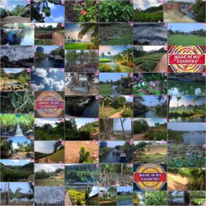 Welcome to MadeinMycountry! Celebrate and Support Local Culture with MadeinMycountry MadeinMycountry is a global platform that celebrates and supports local history, culture, art, and nature conservation efforts.